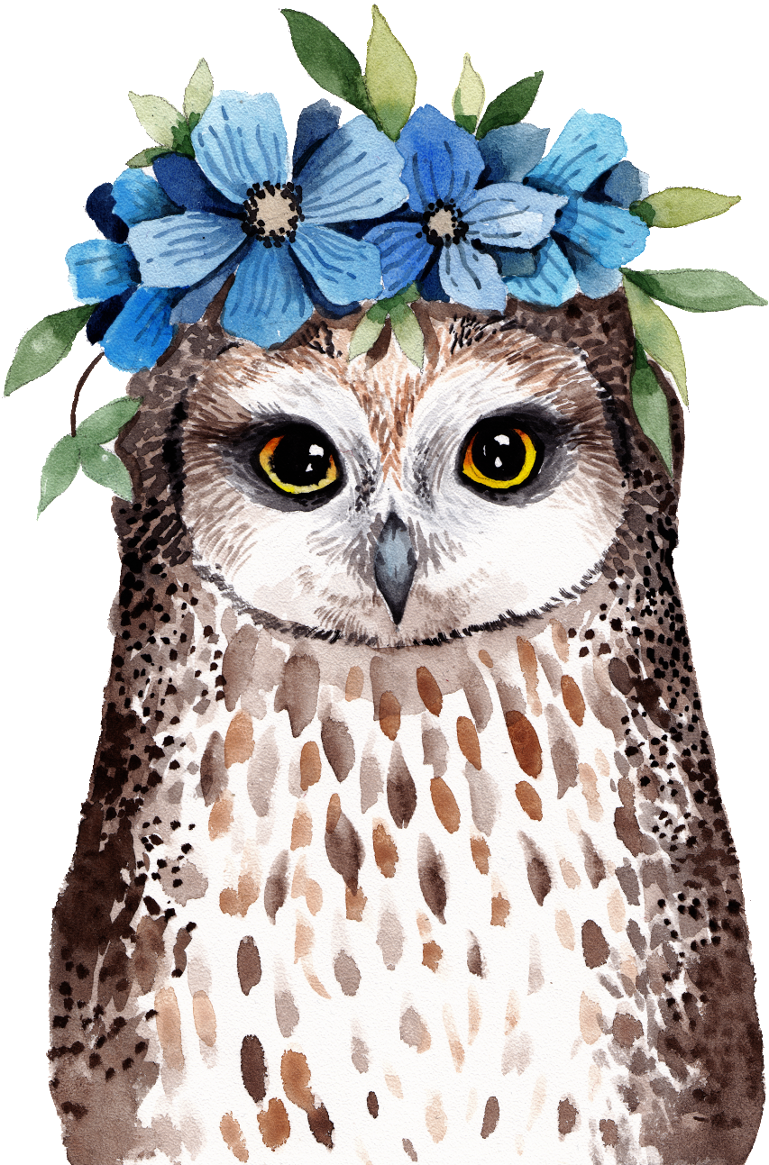 Owl Png Transparent Wearing Flowers - Owl With Flowers Watercolor (1024x1373), Png Download
