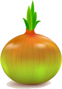 Onion Vector Png File - Vegetables Vector Png File (408x425), Png Download
