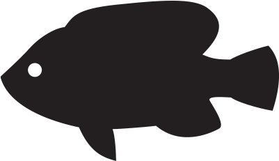 Tilapia (425x425), Png Download