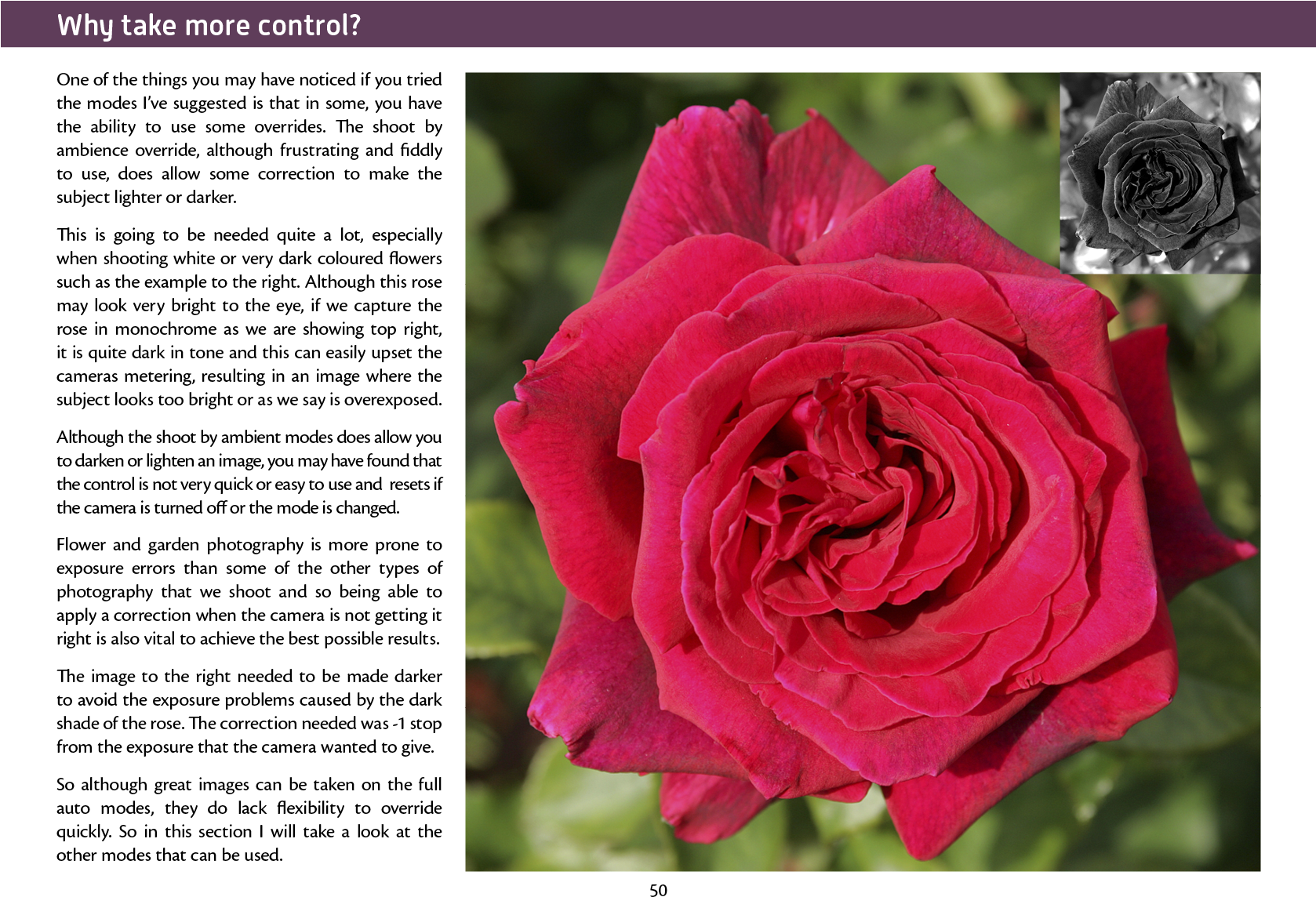 Joomla Plugins - Garden Roses (1677x1240), Png Download