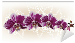 Stripe With Dark Pink Orchid Flowers Wall Mural • Pixers® - Orchids (400x400), Png Download