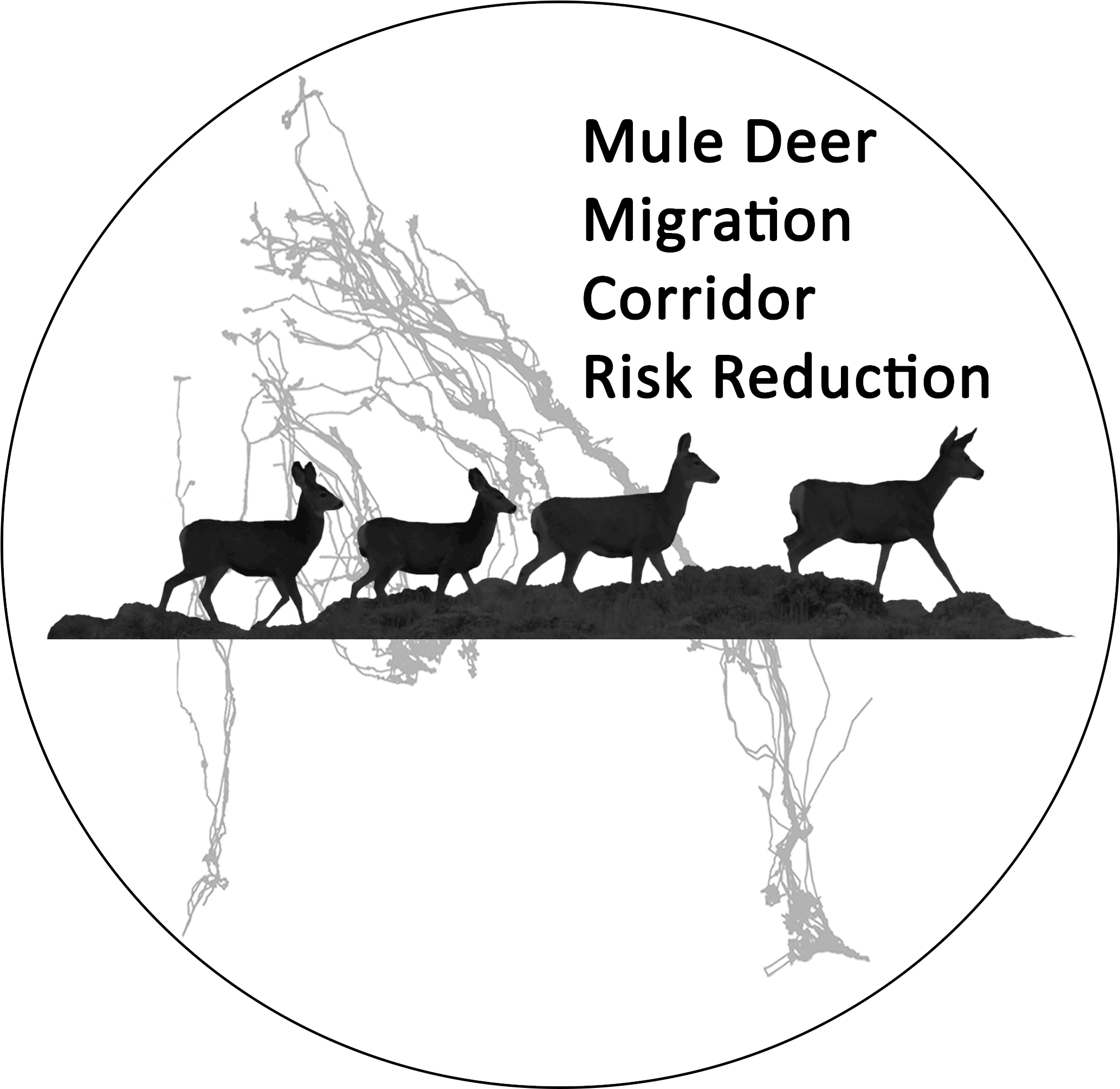 Share - Mule Deer (2400x2400), Png Download
