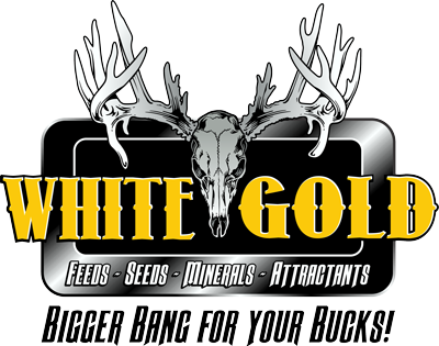 White Gold Deer Feed - Gold (400x315), Png Download