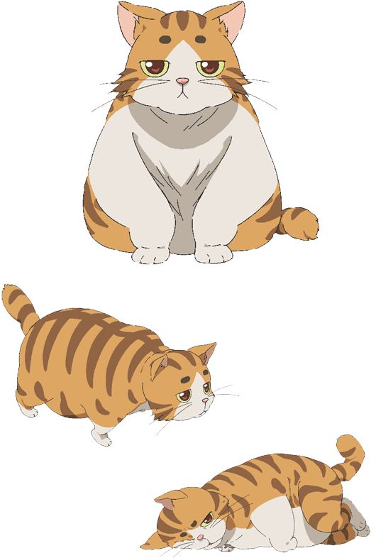 Img Main01 - Isoroku The Cat (545x865), Png Download