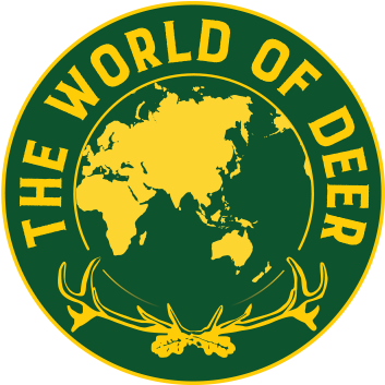 World Map Black And Pink (365x352), Png Download