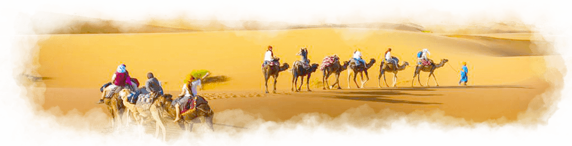 Camel Trekking Tour - Sahara (1170x300), Png Download
