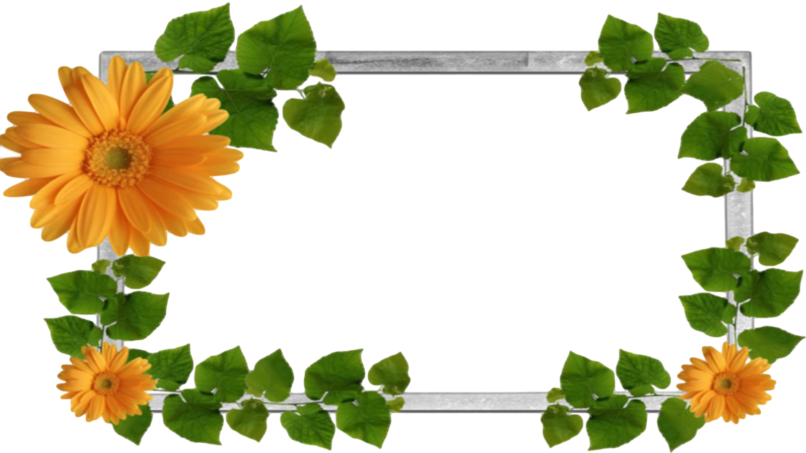 Moldura Primavera 9 Png - Flower And Leaf Png (1600x900), Png Download