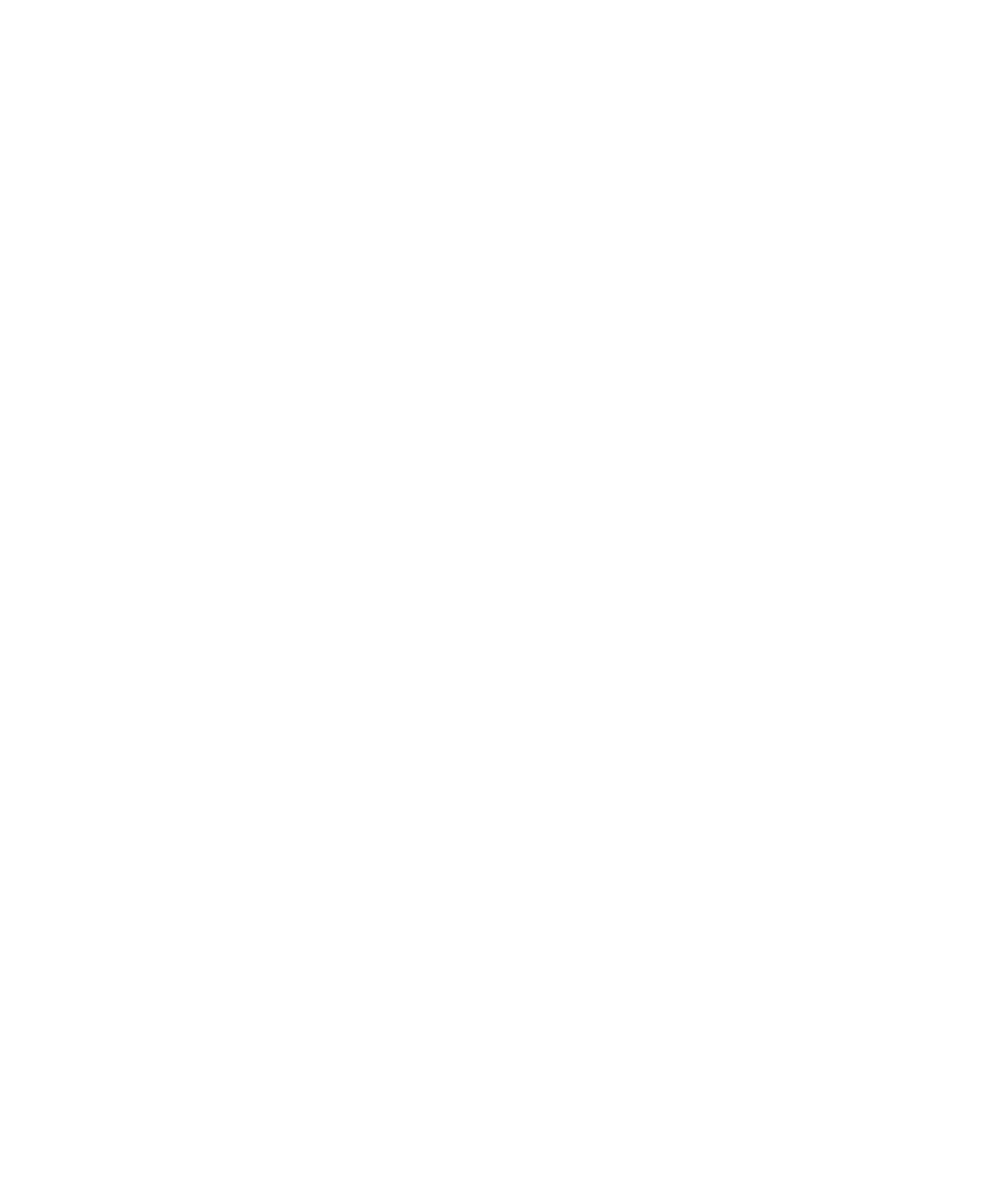 Furi Digital Solutions (3900x5700), Png Download