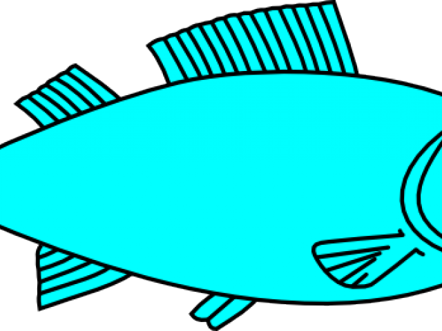 Tilapia Cliparts - Big Fish Outline (640x480), Png Download