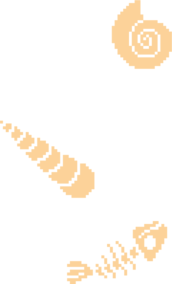 Home Fossil Arrangement - Illustration (596x984), Png Download