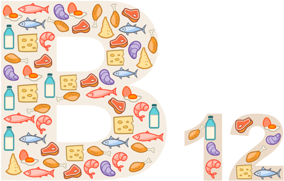 B12 Png Download Image - Anh Bandicam (700x700), Png Download