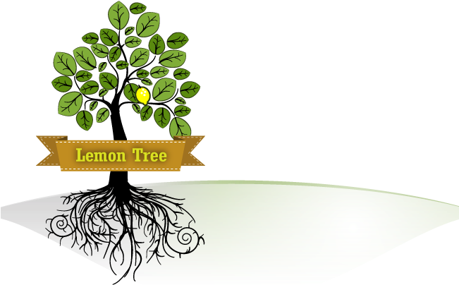 Lemon Tree Apps - Wood Sorrel (650x419), Png Download