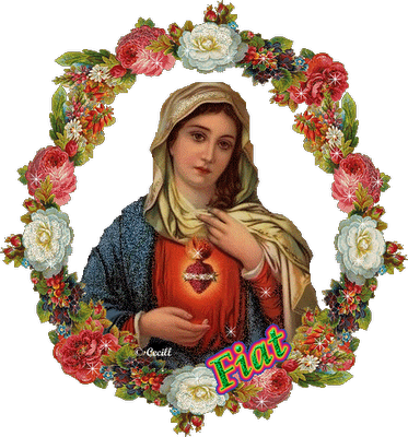 Download Imágenes Animadas De La Virgen María - Virgin Mary With Flowers  PNG Image with No Background 