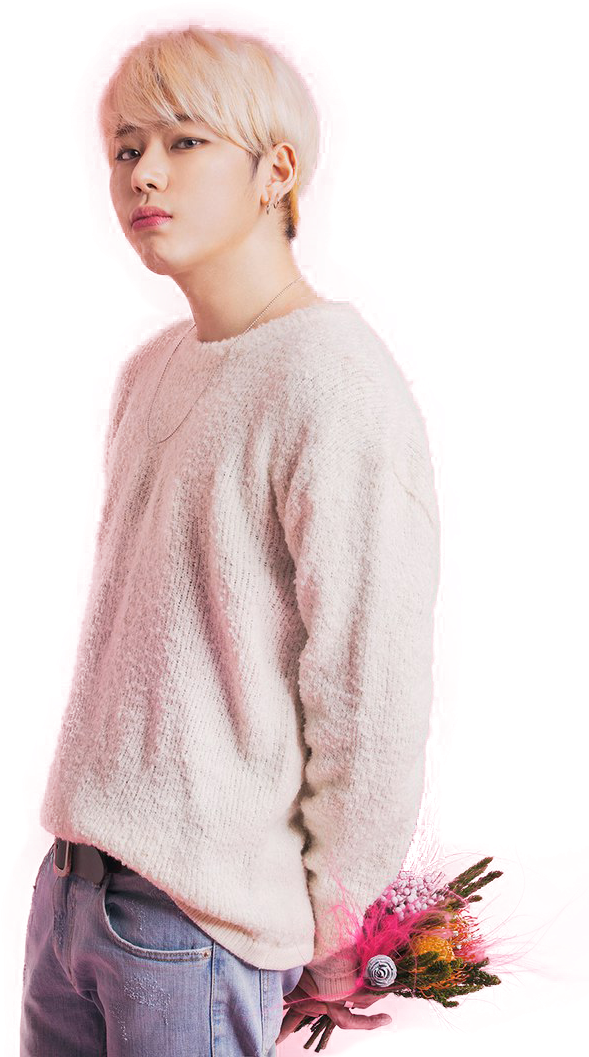 Zico Block B Pink (720x1080), Png Download