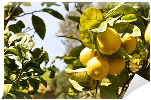 Sea (400x400), Png Download