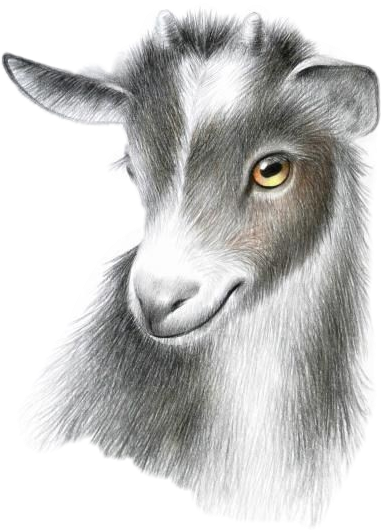 Goat (381x530), Png Download