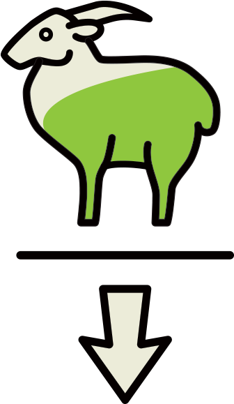 Global Distribution Of Goats In - Sheep (450x600), Png Download