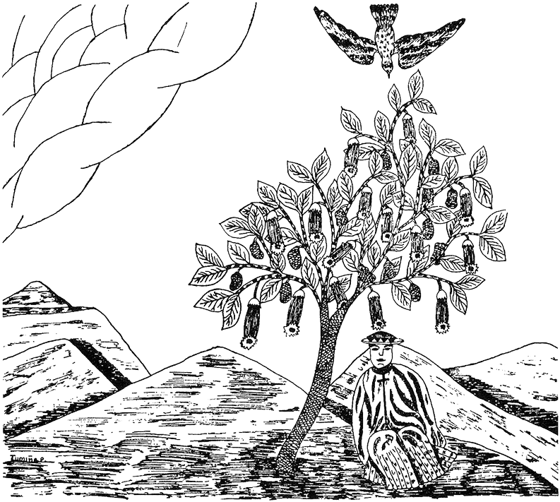 A Native Drawing Of The Tree Of The Evil Eagle - Brugmansia Shaman (800x717), Png Download