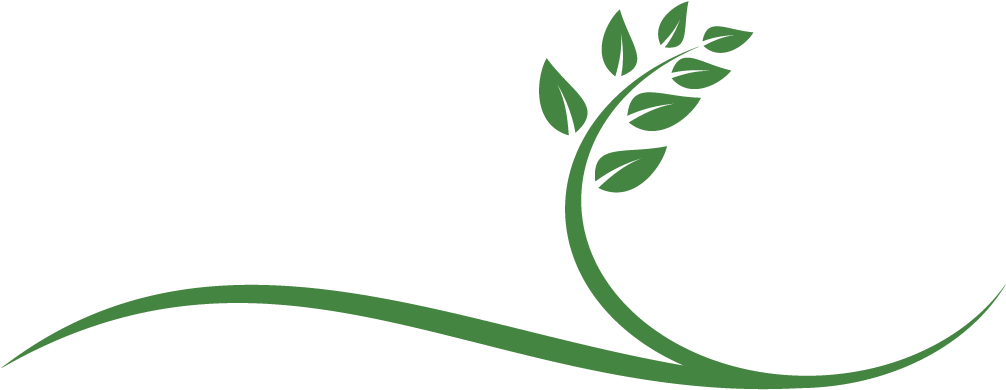 Light Life Living A New Approach To Help You 'live (1123x433), Png Download