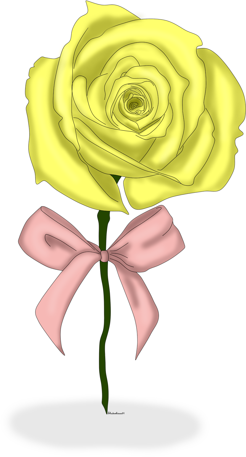 Tumblr N6l5p2y5nq1rhylsgo1 R1 1280 - Garden (1280x1920), Png Download