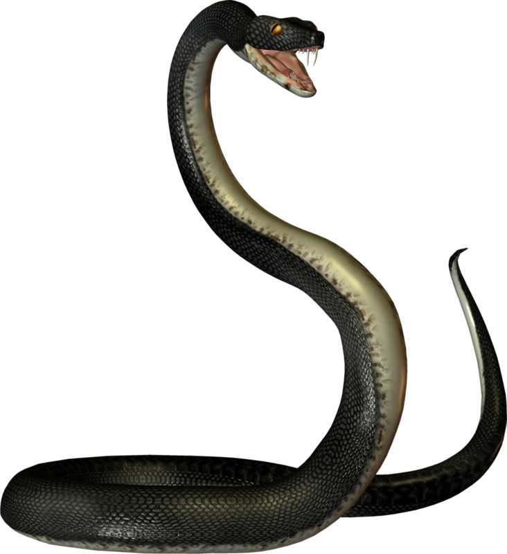 Змея На Прозрачном Фоне (732x800), Png Download