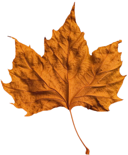 Forever, - Fall Png (500x602), Png Download