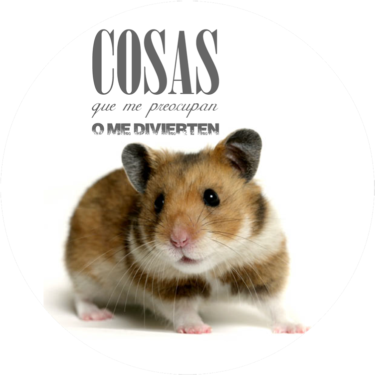 La Conduccion Rata - Hamster (800x788), Png Download