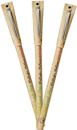 After Usage It Grow Into A Tree - Paper (640x480), Png Download