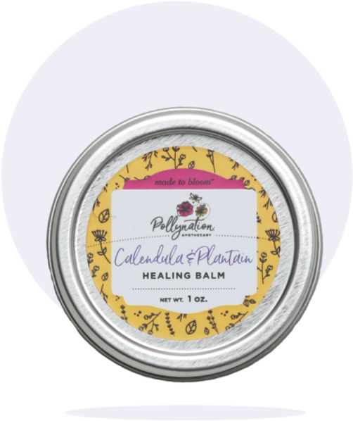 Calendula & Plantain Healing Balm • Pollynation Apothecary - Eye Shadow (700x700), Png Download