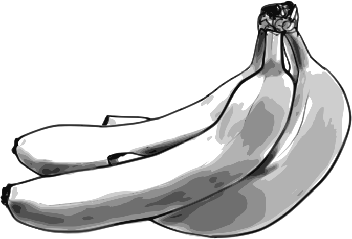 Drawing Line Art Banana Black And White - Banana Png Black And White (501x340), Png Download