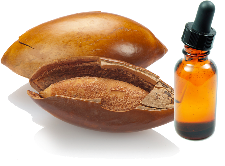 Hueso De Mamey (814x632), Png Download