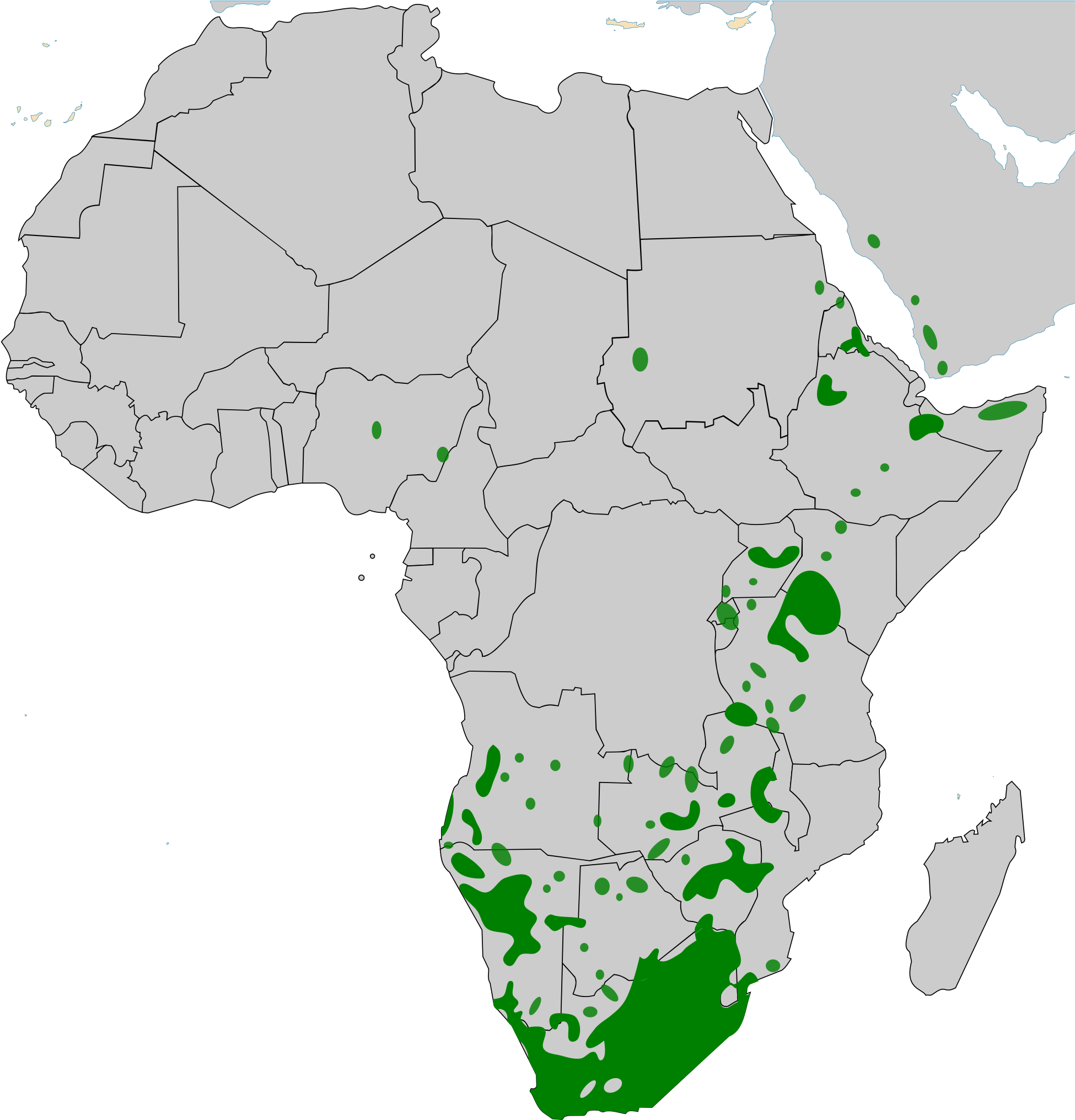 Open - East African City State Of Mogadishu (2000x2050), Png Download