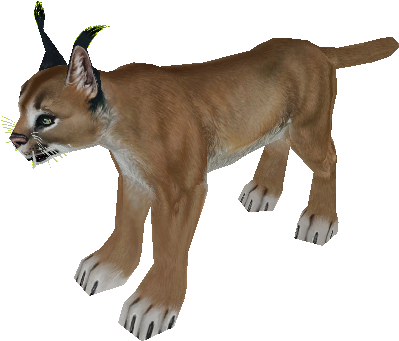 Download Zip Archive - Zoo Tycoon 2 Caracal (750x650), Png Download