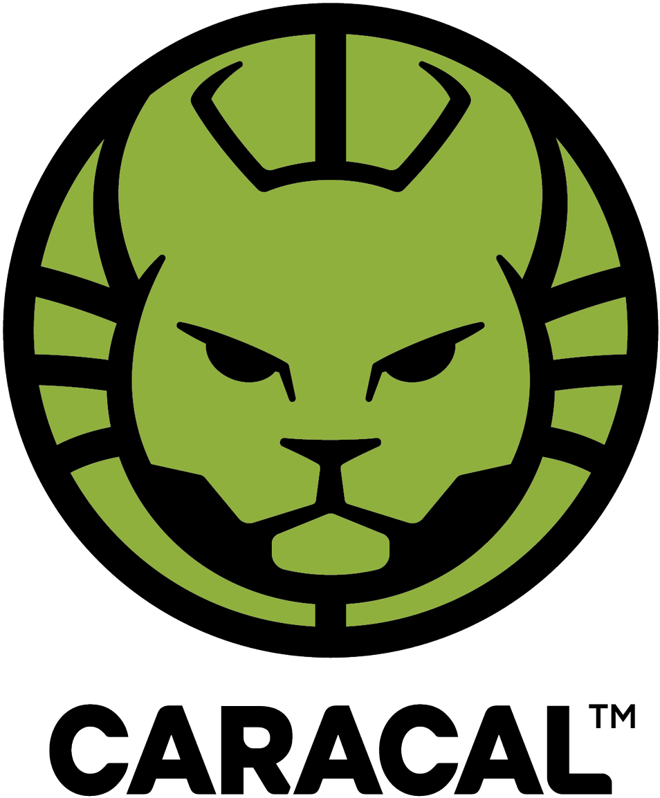 Caracal Png (960x1177), Png Download
