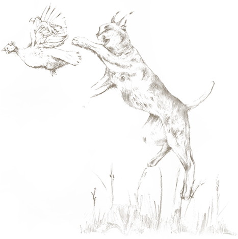 Back To Blog - Sketch (553x468), Png Download