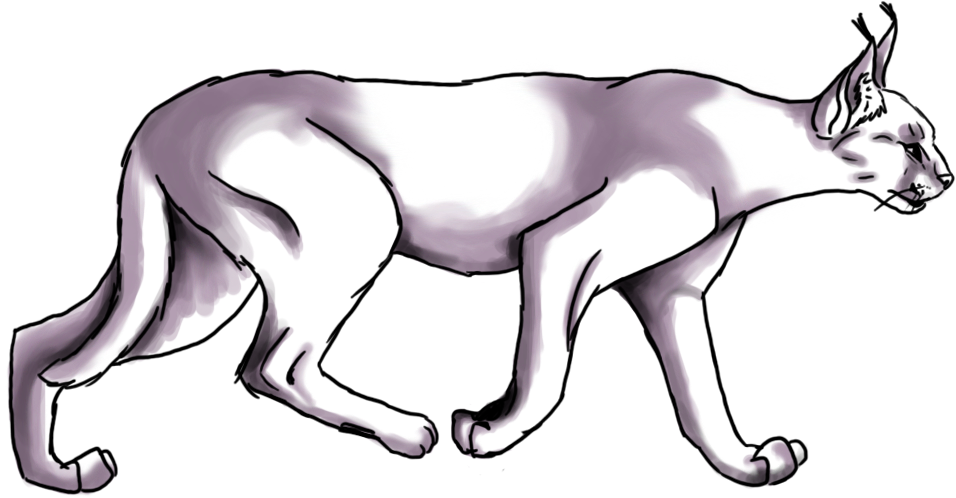 Skitzo Be Sketchin - Jaguar (1280x960), Png Download