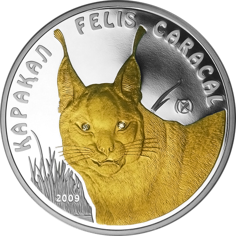Caracal Proof Silver Coin 100 Tenge Kazakhstan - Silver (480x480), Png Download
