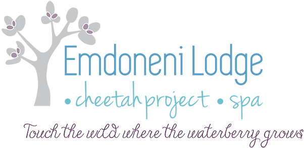 Emdoneni Lodge - Spa Project (602x294), Png Download