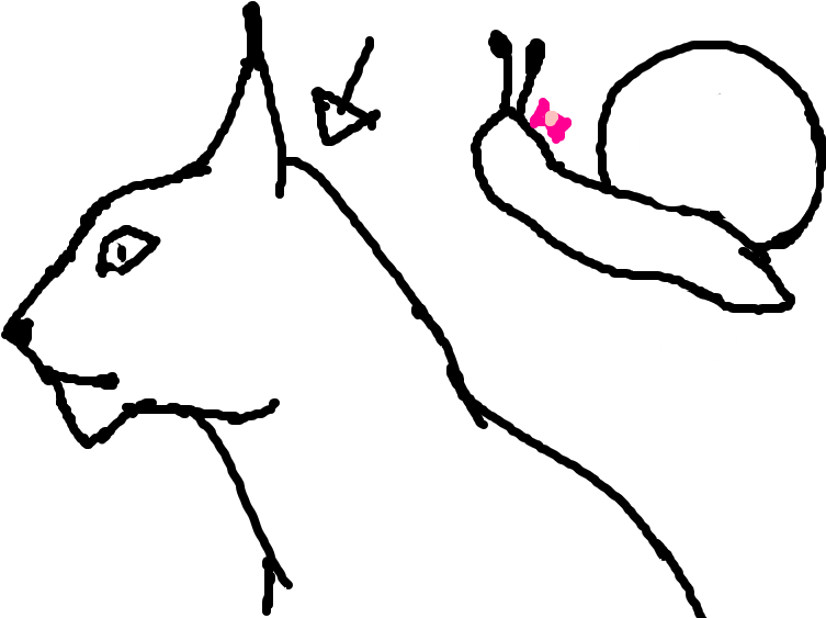 Caracal (1020x608), Png Download