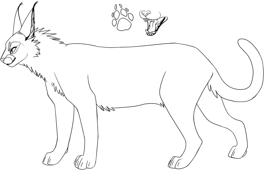Bases And Lineart - Caracal Lineart (920x577), Png Download