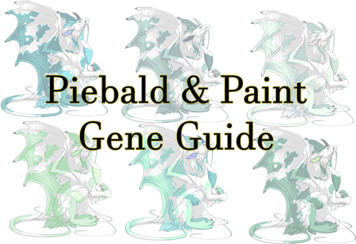 This Guide Is A Showcase Of Piebald And Paint On All - Paint (525x350), Png Download