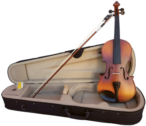 Sz Sarasate Student Violin With Professional Set-up, - Violin (500x500), Png Download