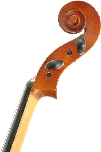Pa600 - Violin (382x572), Png Download