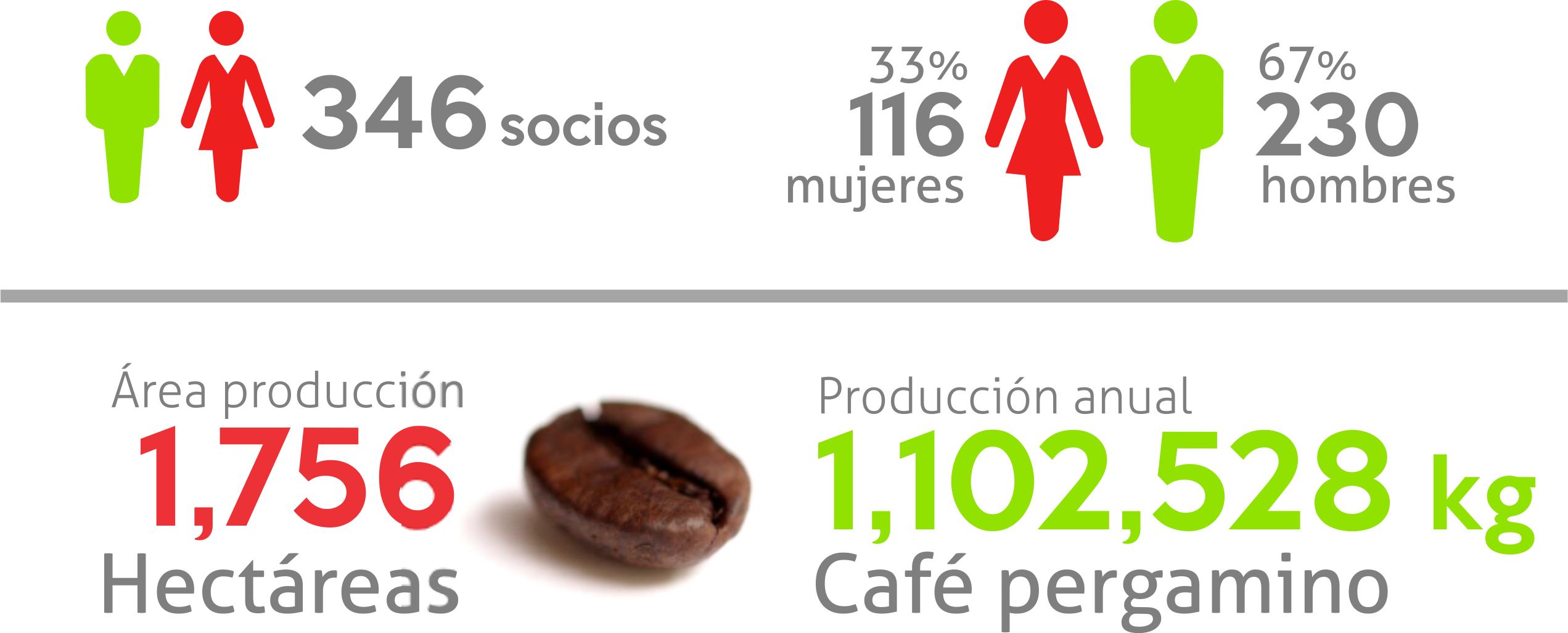 Our Partners - Chocolate (2543x1026), Png Download