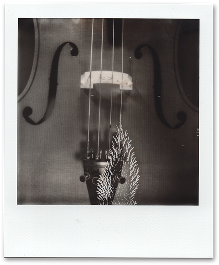 Double Bass (600x600), Png Download