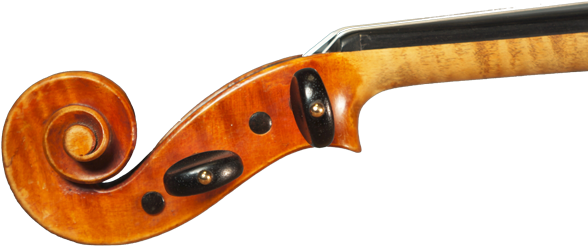 Bloomington String Instruments - String Instruments (600x273), Png Download