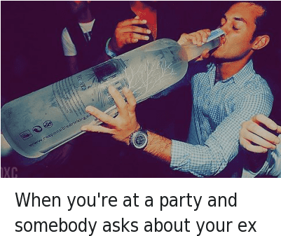 Drinking, Ex's, And Party - You Re At A Party And Someone Asks About Your Ex (400x350), Png Download