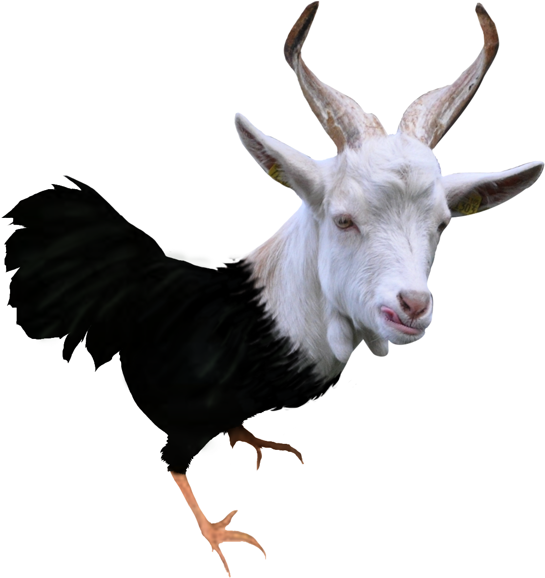 Goat (1101x1369), Png Download