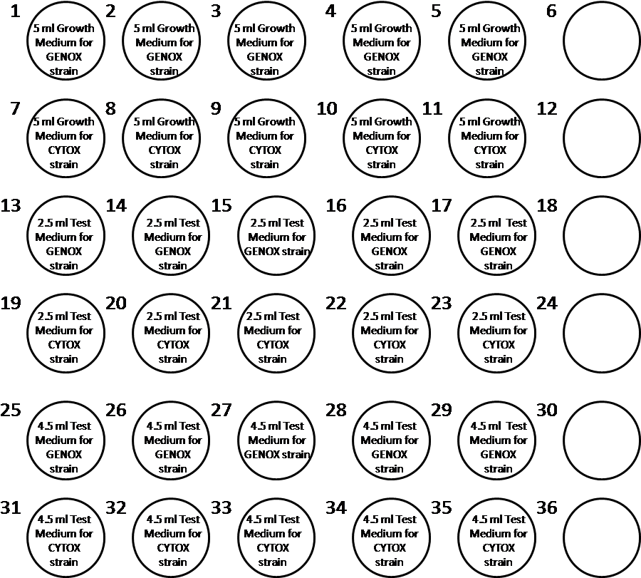 Vitotox Procedure Gentaur - Circle (920x825), Png Download