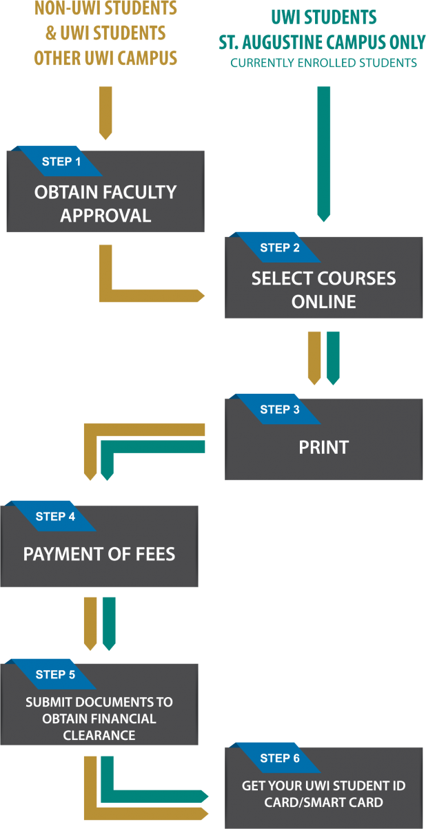 Summer School Registration Procedure - Portable Network Graphics (618x1200), Png Download